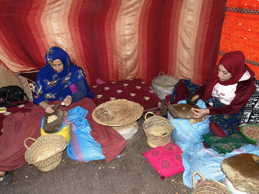 Elixir D'argane-阿加迪尔必去景点