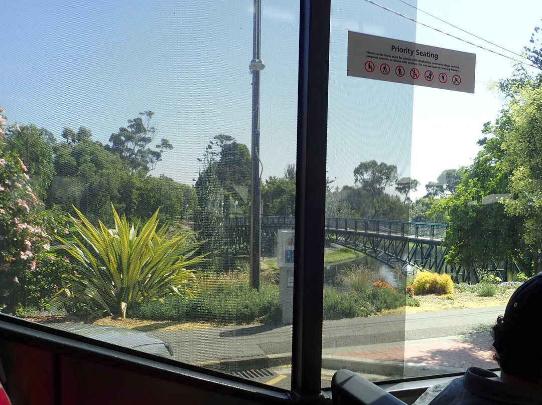 Adelaide Metro Free City Connector Bus and Tram-阿德莱德必去景点