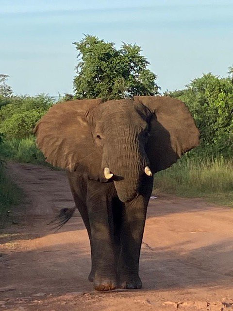Sandfield Travel-坎帕拉必去景点