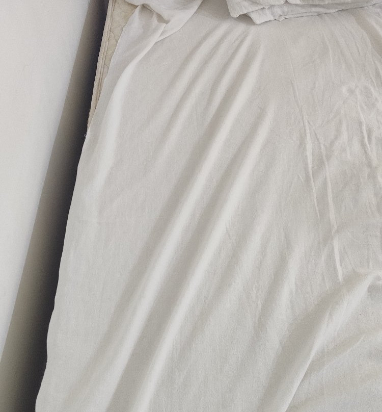 Bindu Homestay主图