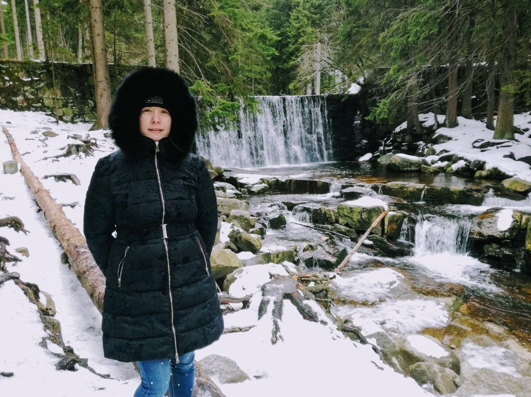 Wild Waterfall景点图片