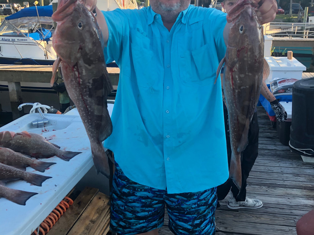 Paradise Fishing Charters-Cape Haze必去景点