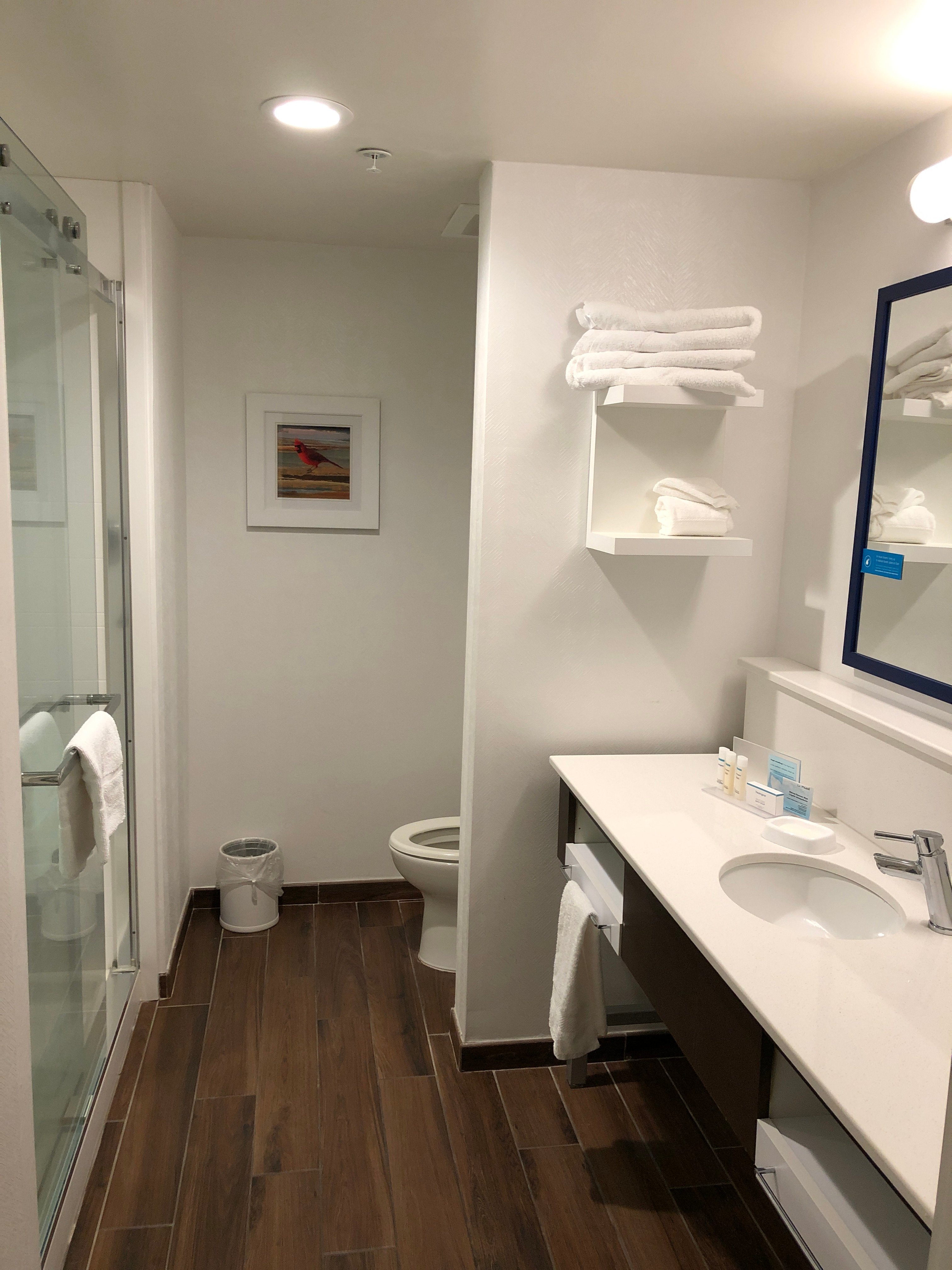 Hampton Inn Benson-浴室