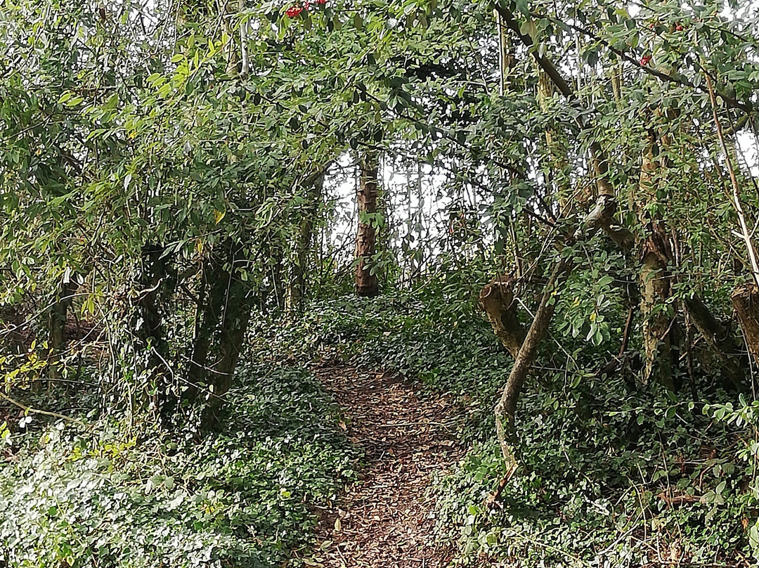 Stanmer Park景点图片