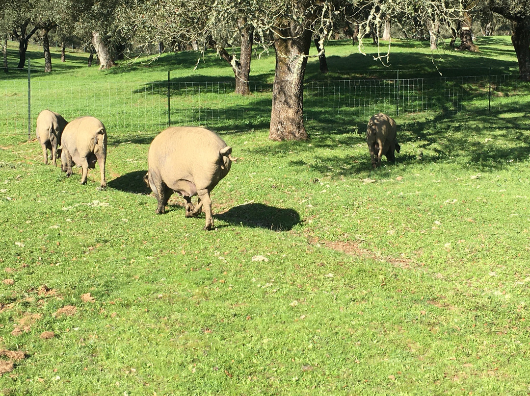 Finca Montefrio主图