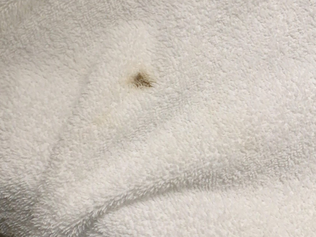 三姐妹汽车旅馆主图