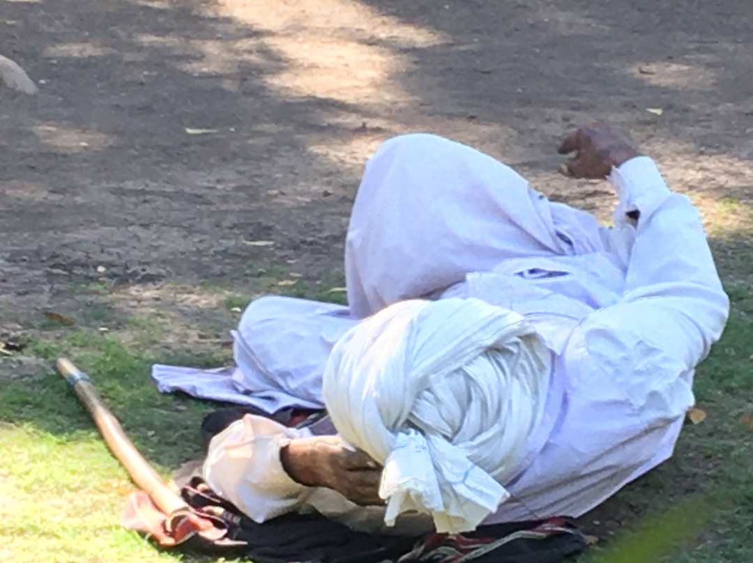 Watson Museum-杰拉果德必去景点