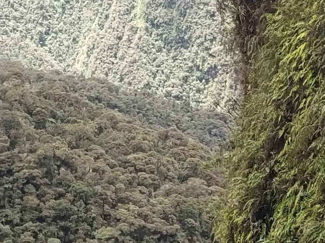 North Yungas Road-拉巴斯必去景点