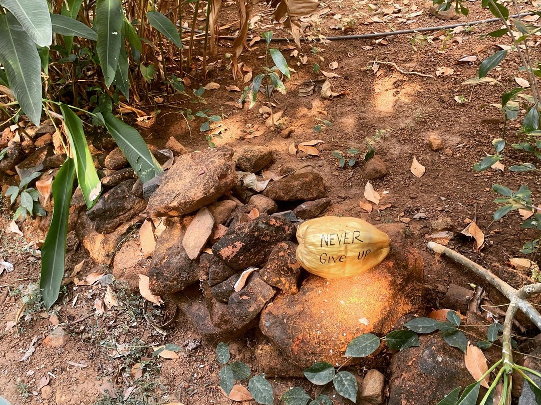 La La Land Resort主图