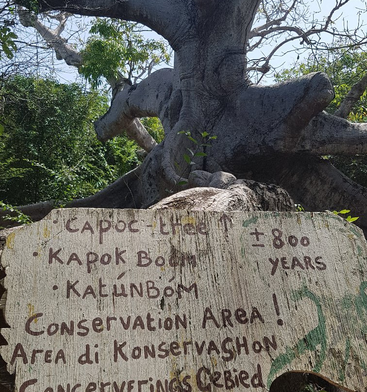 Hofi Pastor-Barber必去景点