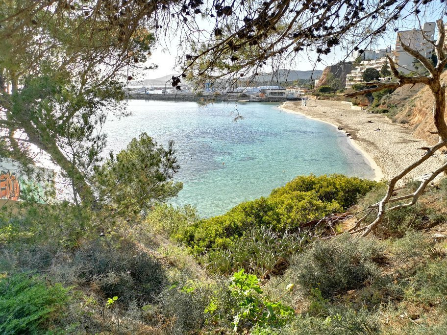 Platja De s'Oratori-波特努斯必去景点