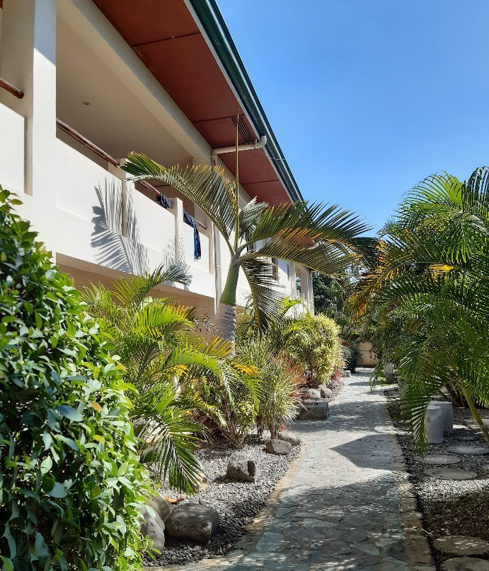 阿罗那瑞士度假酒店主图