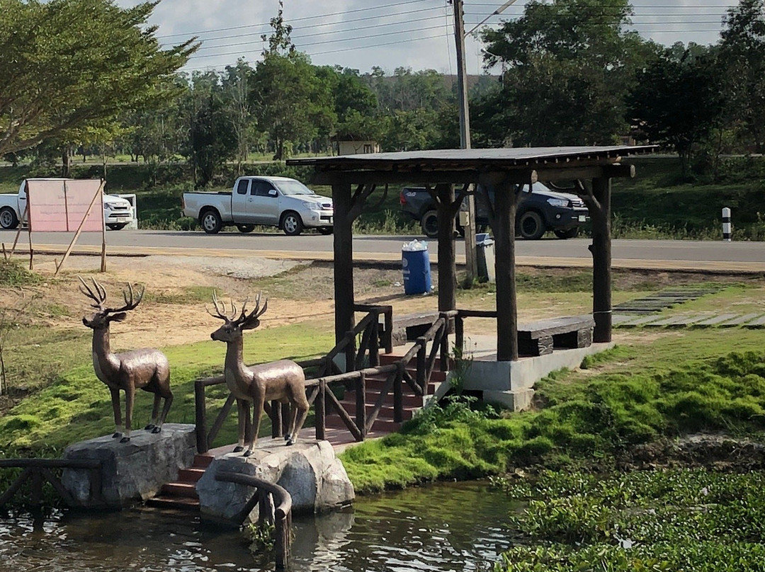 Nong Yai Tang Chang Public Park景点图片