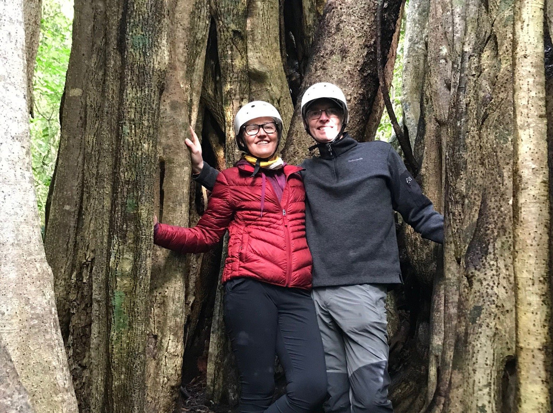 Martin Tours-蒙特沃德必去景点