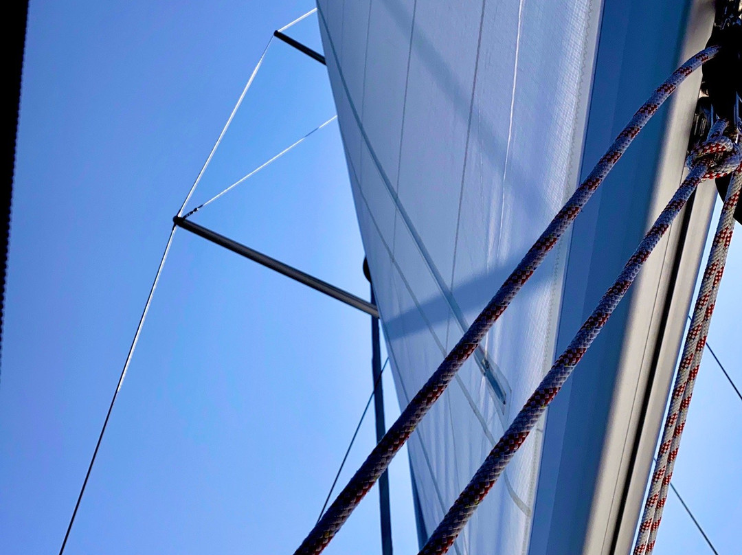 Ataahua Luxury Sailing景点图片