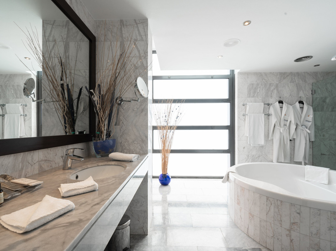 威尔第大酒店主图