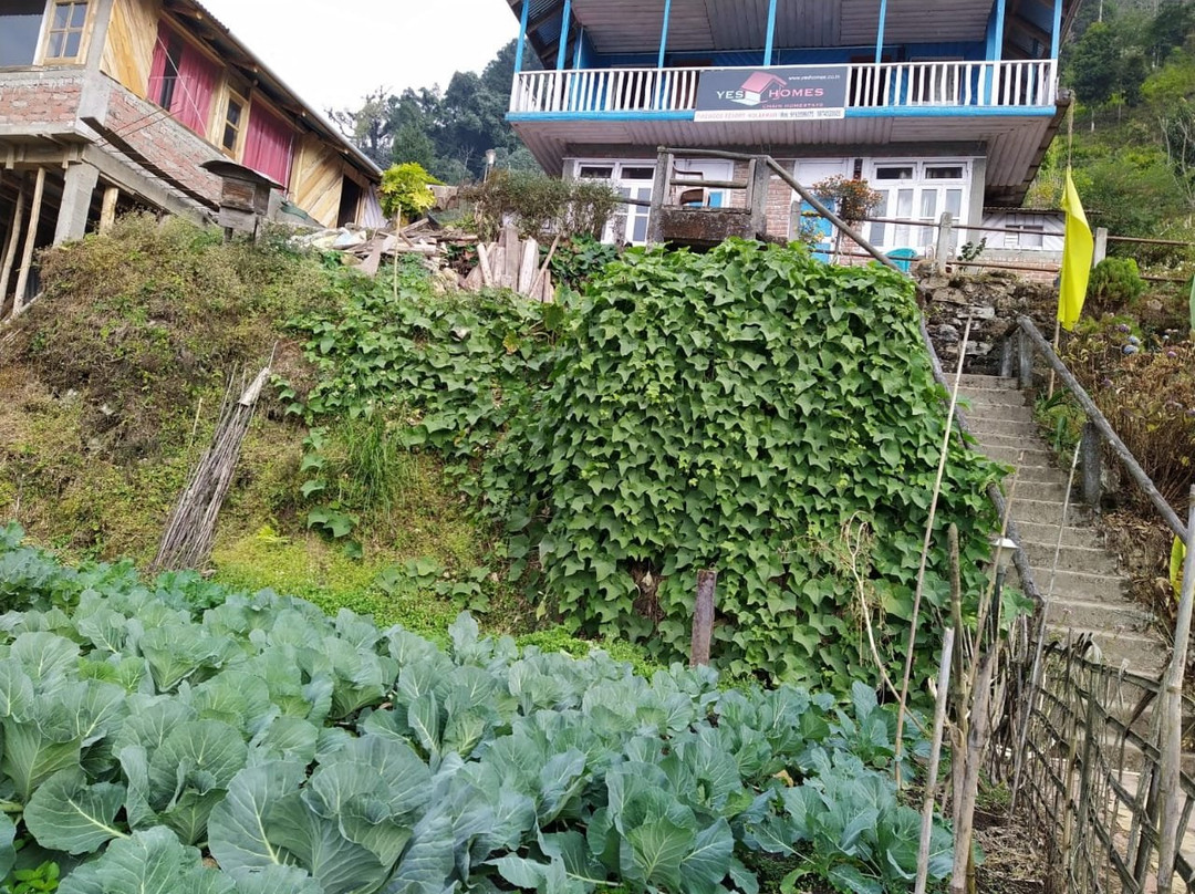 Kolakham Homestay