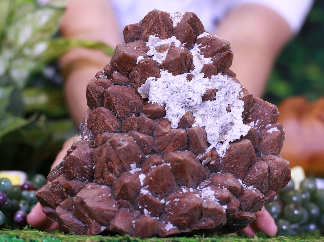 Cosmic Cuts-落基山城必去景点