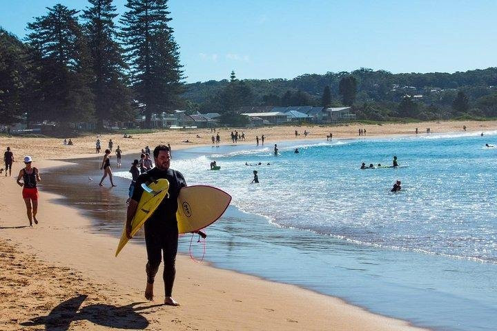 Sydney Guided Tours景点图片