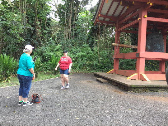 Hawaii Dream Tours-火奴鲁鲁必去景点