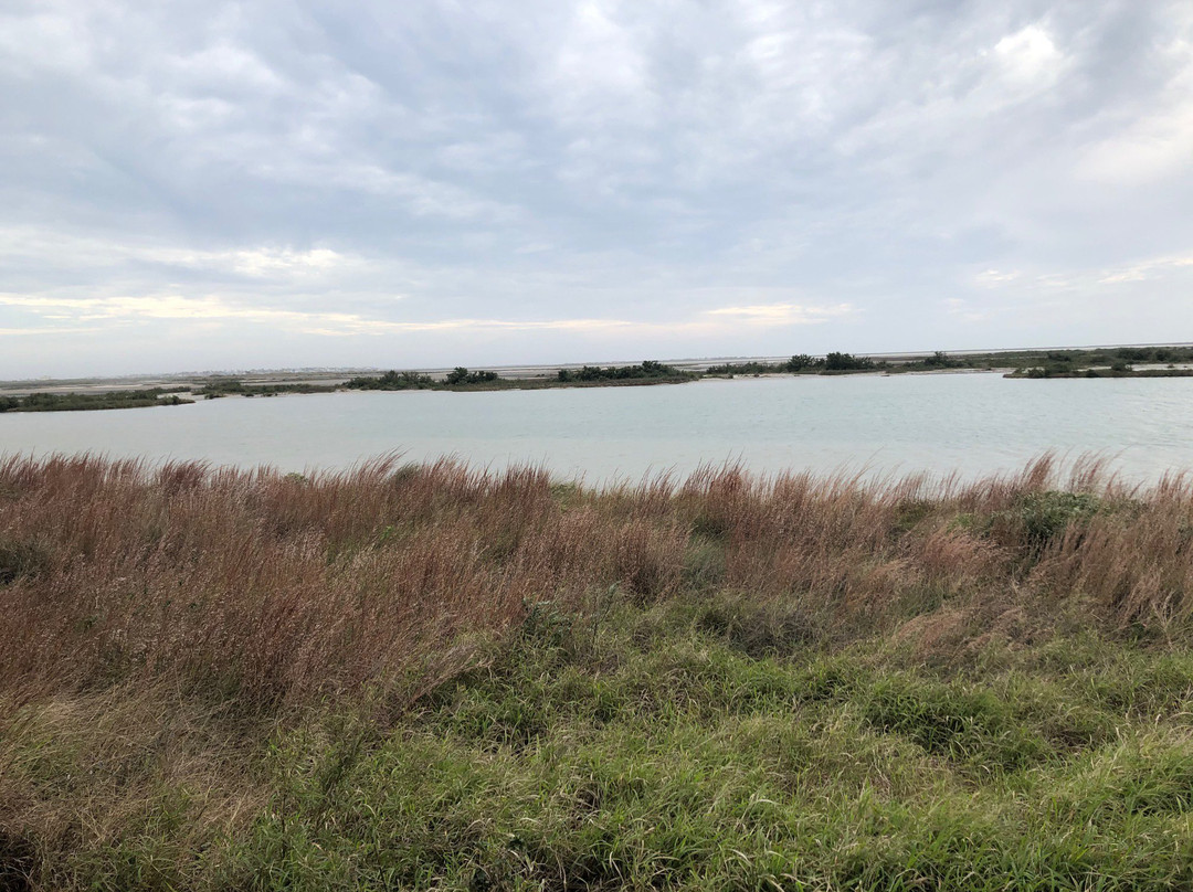 Port Aransas Nature Preserve at Charlie's Pasture-阿兰瑟斯港必去景点