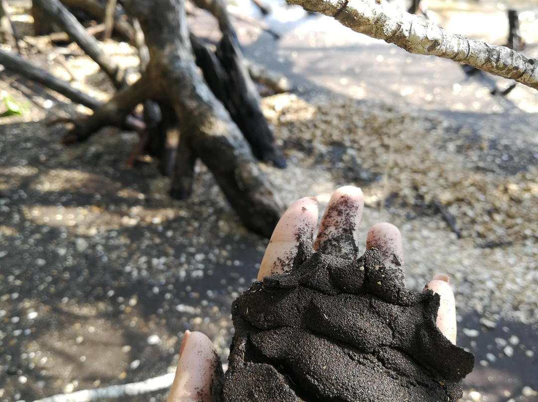 Black Sand Beach-廉愚必去景点