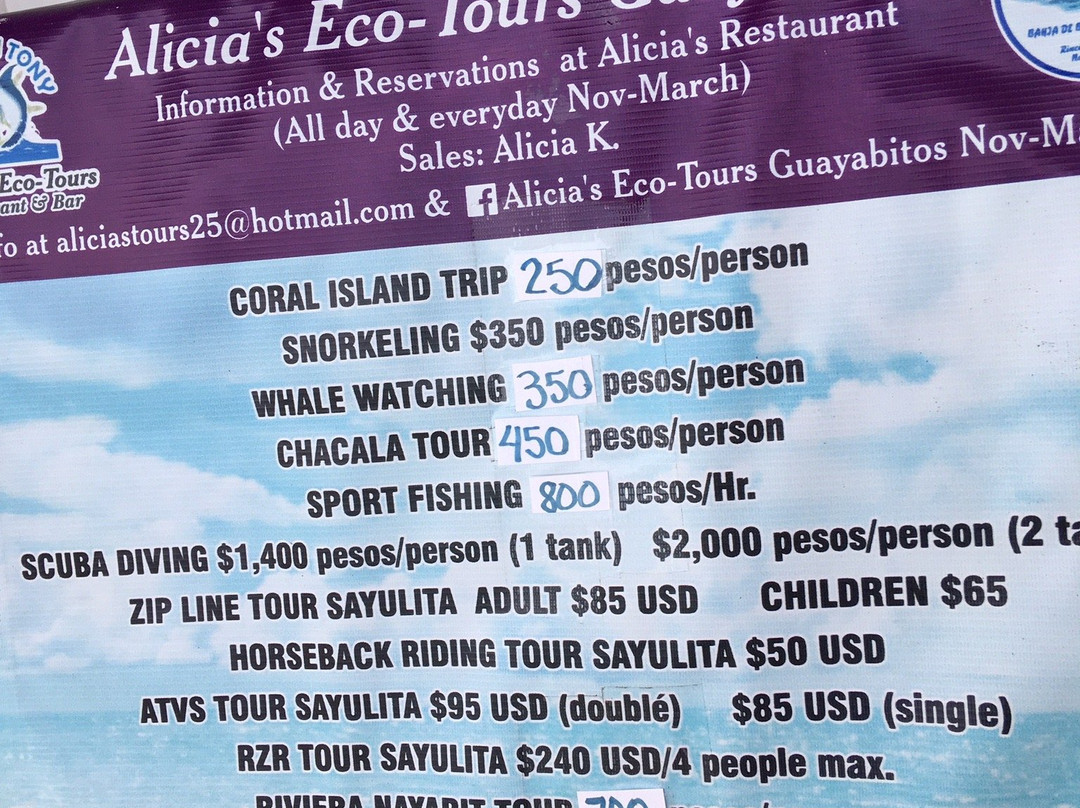 Isla de Coral-Rincon de Guayabitos必去景点