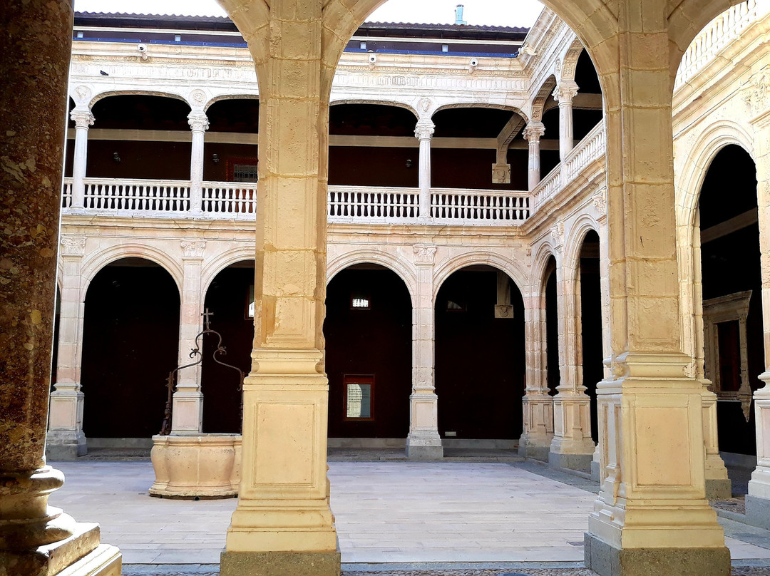 Palacio de los Condes de Miranda景点图片