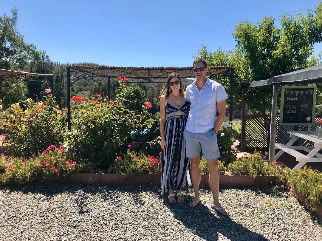 La Recova Wines-卡萨布兰卡必去景点