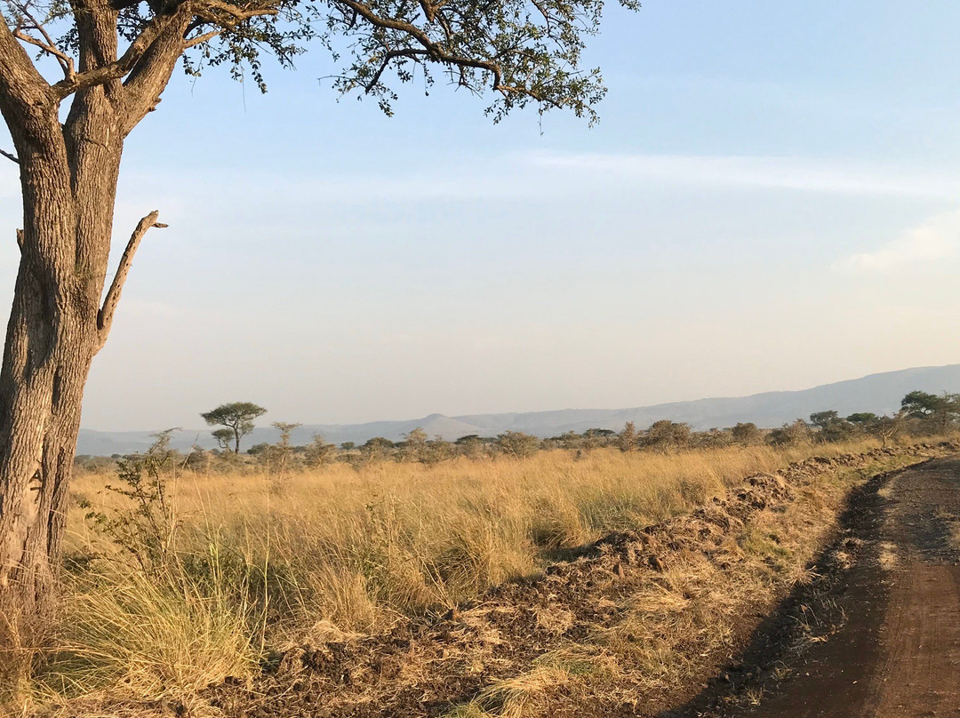 Ruma National Park-Homa Bay必去景点