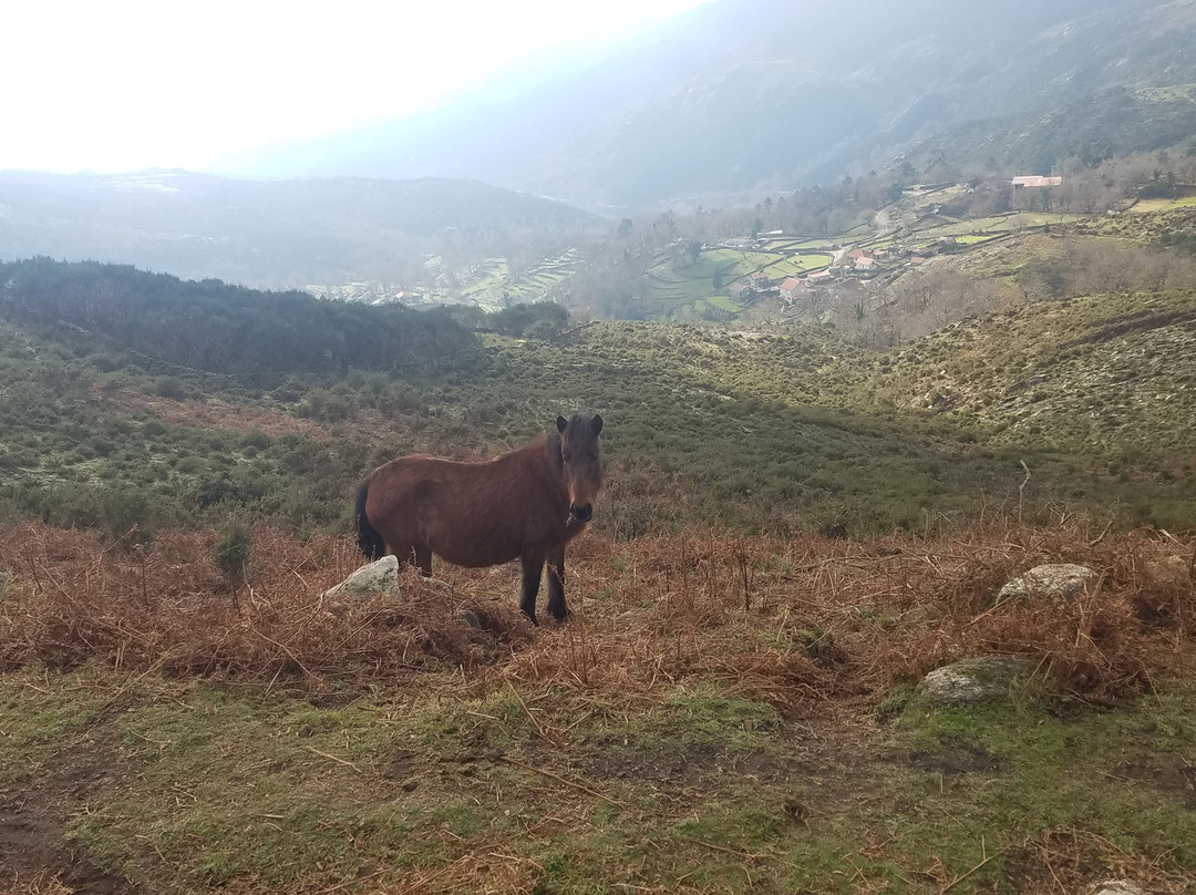 Quinta do Fijó-Arcos de Valdevez必去景点