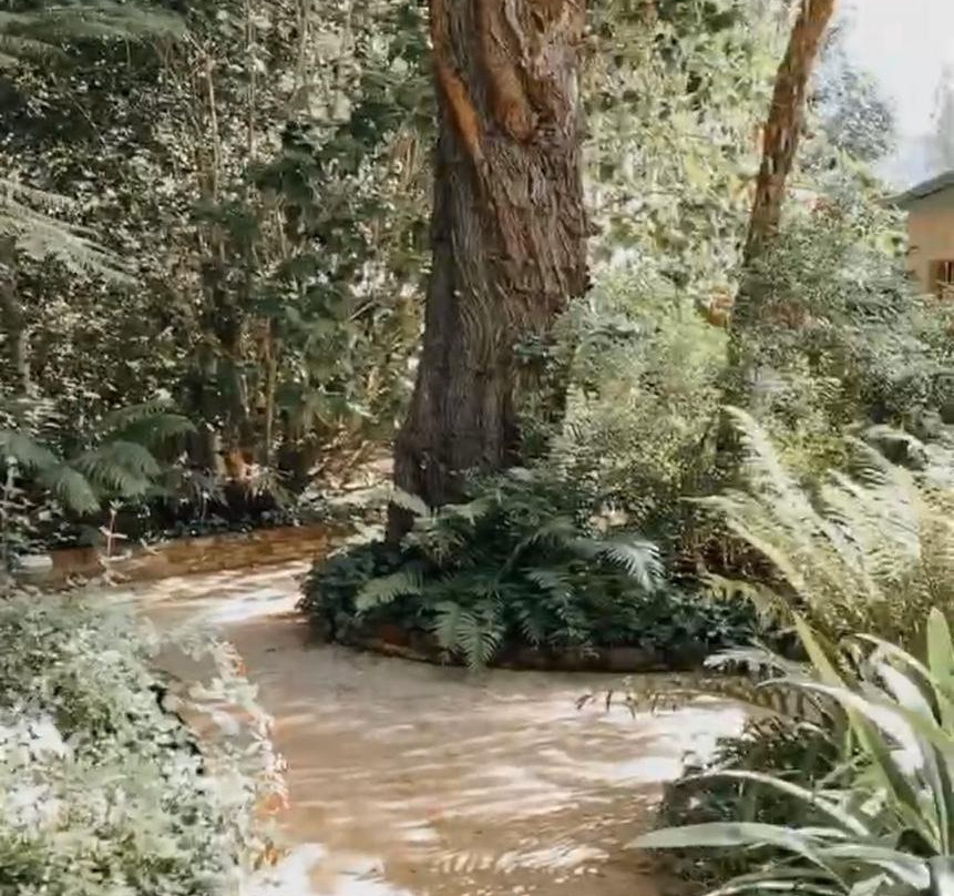 Andelomi Nature’s Rest主图