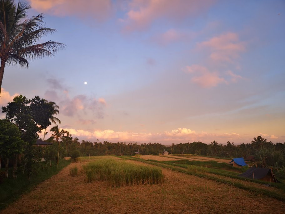 Kubu D’Ume Homestay主图