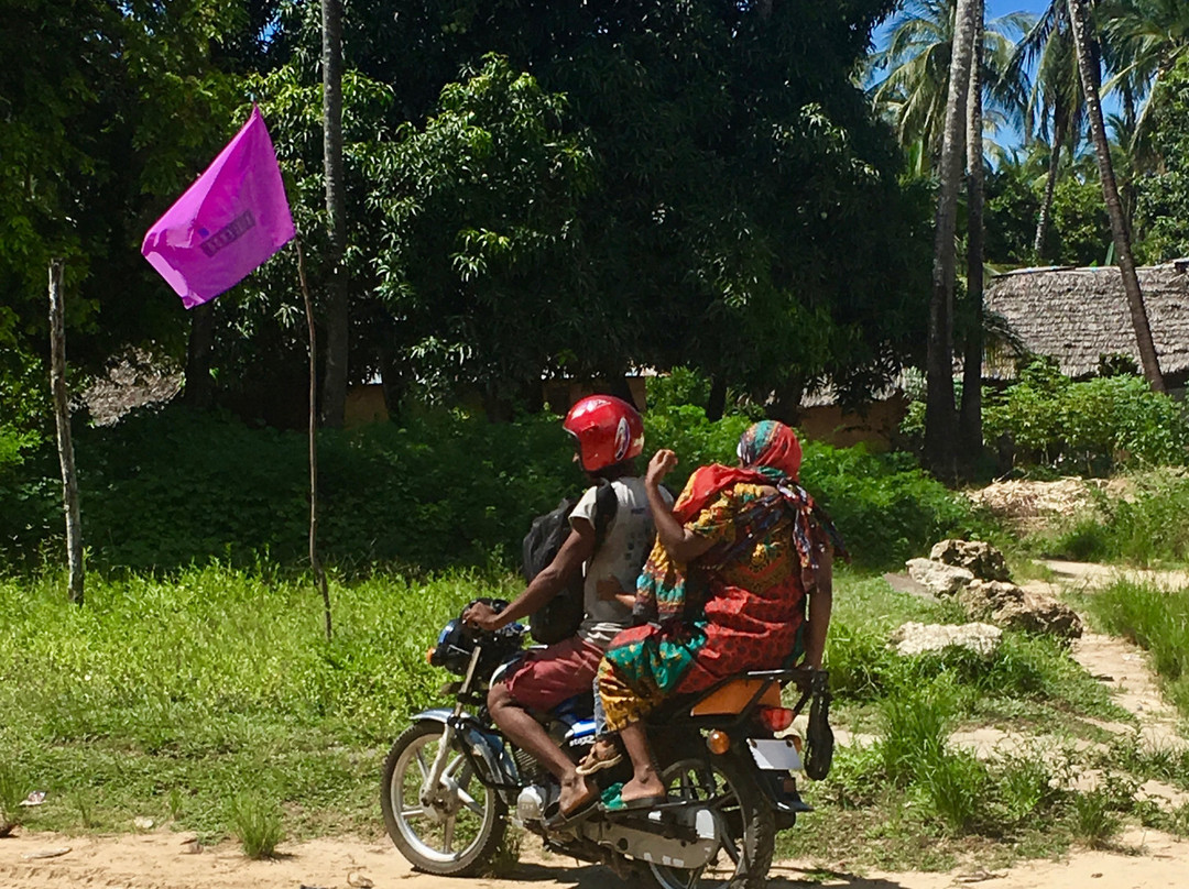 Ras Mkumbi-马菲亚岛必去景点