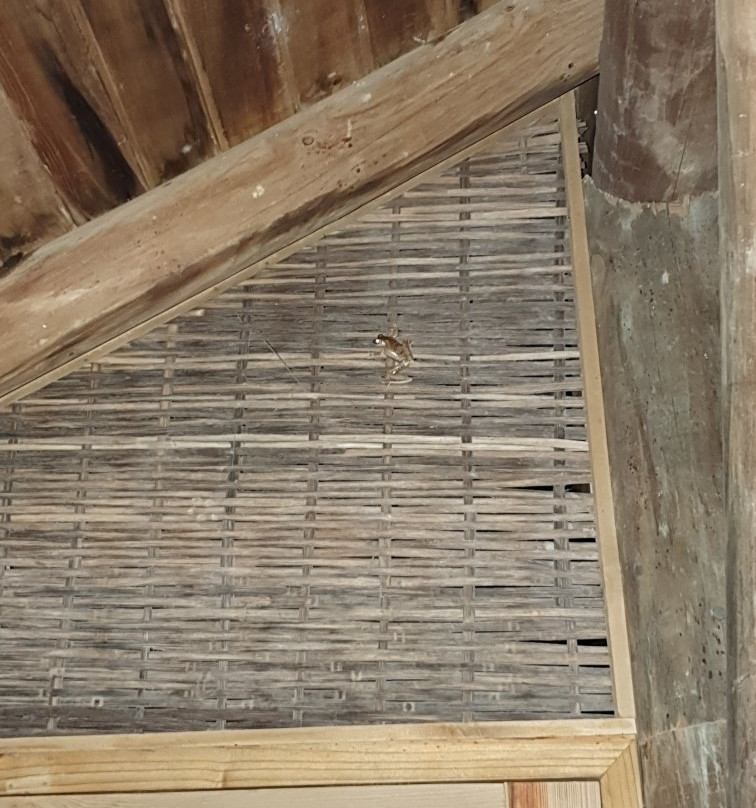 Hotel Playa Manglares主图