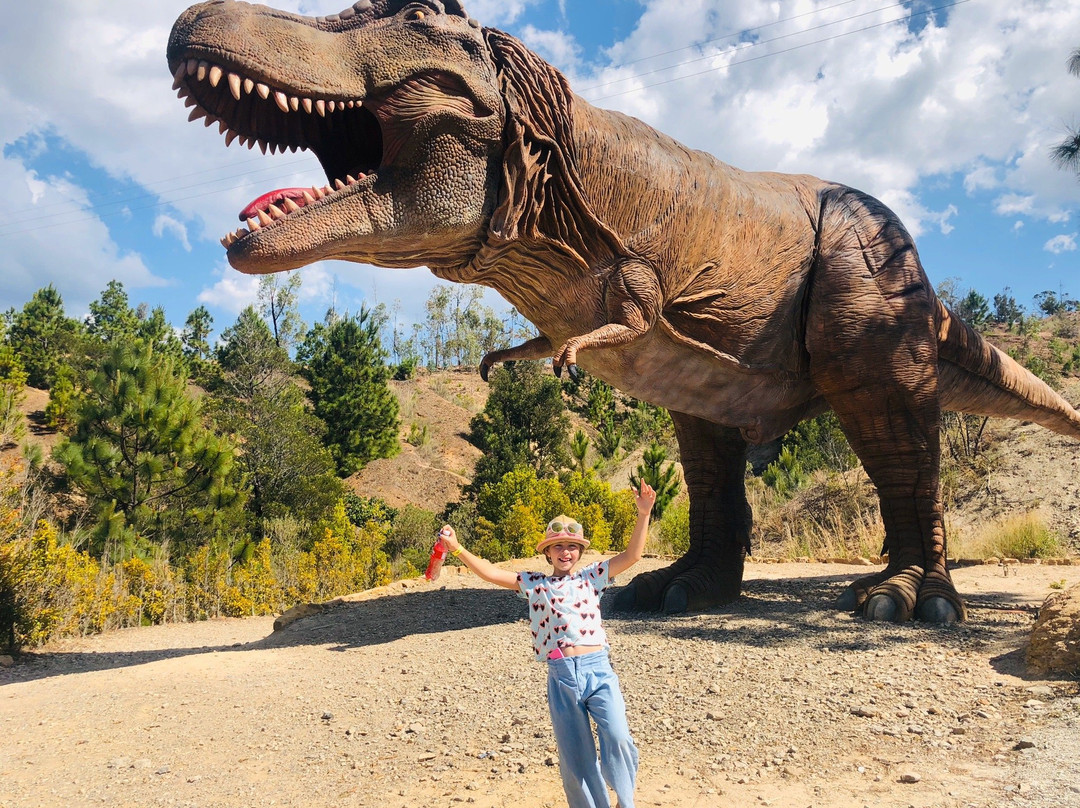 Gondava El Gran Valle de los Dinosaurios-莱瓦镇必去景点