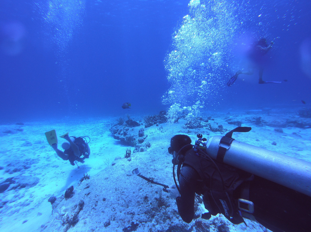 Eloy Vega-拉雷多必去景点