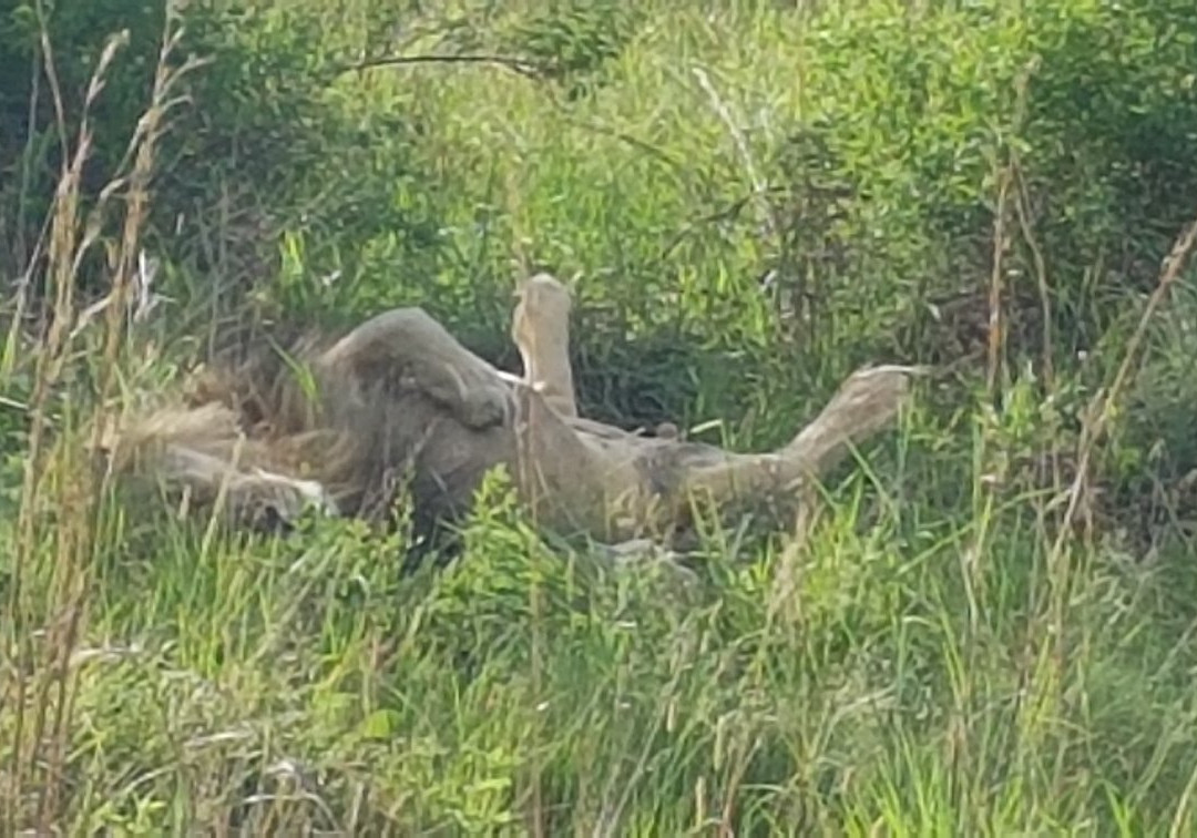 Welgevonden Nature Reserve-瓦尔沃特必去景点