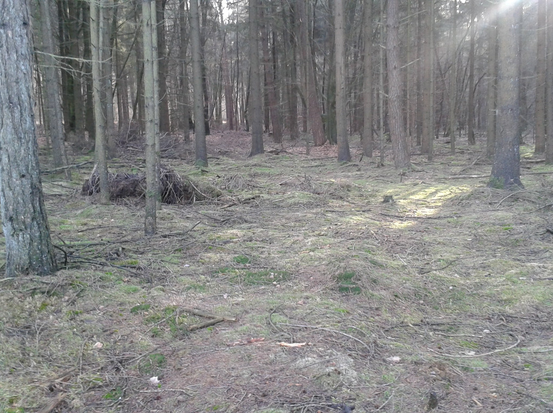 Steingarten Lamstedt