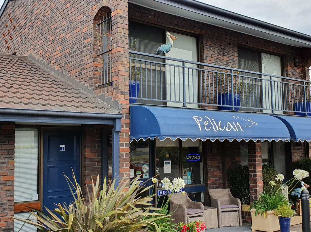 鹈鹕汽车旅馆主图