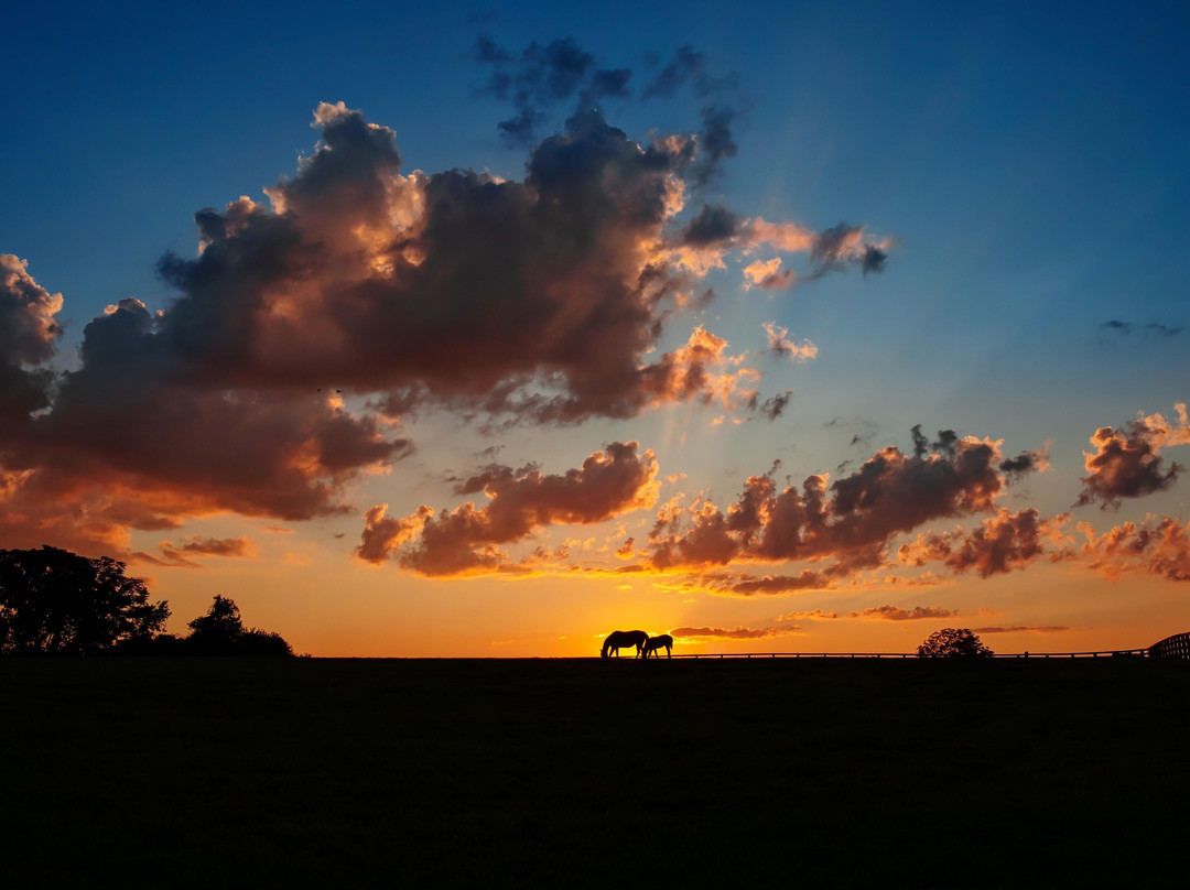 Spendthrift Farm-列克星敦必去景点