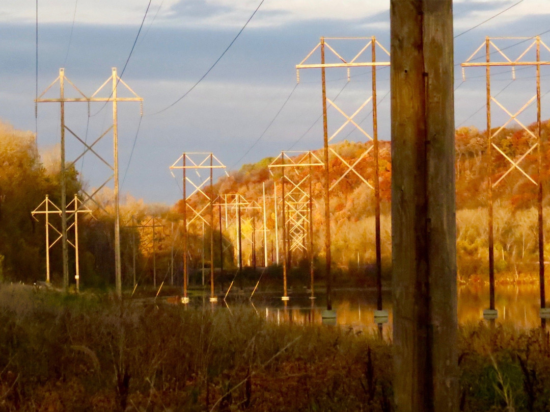 Lilydale Regional Park-圣保罗必去景点