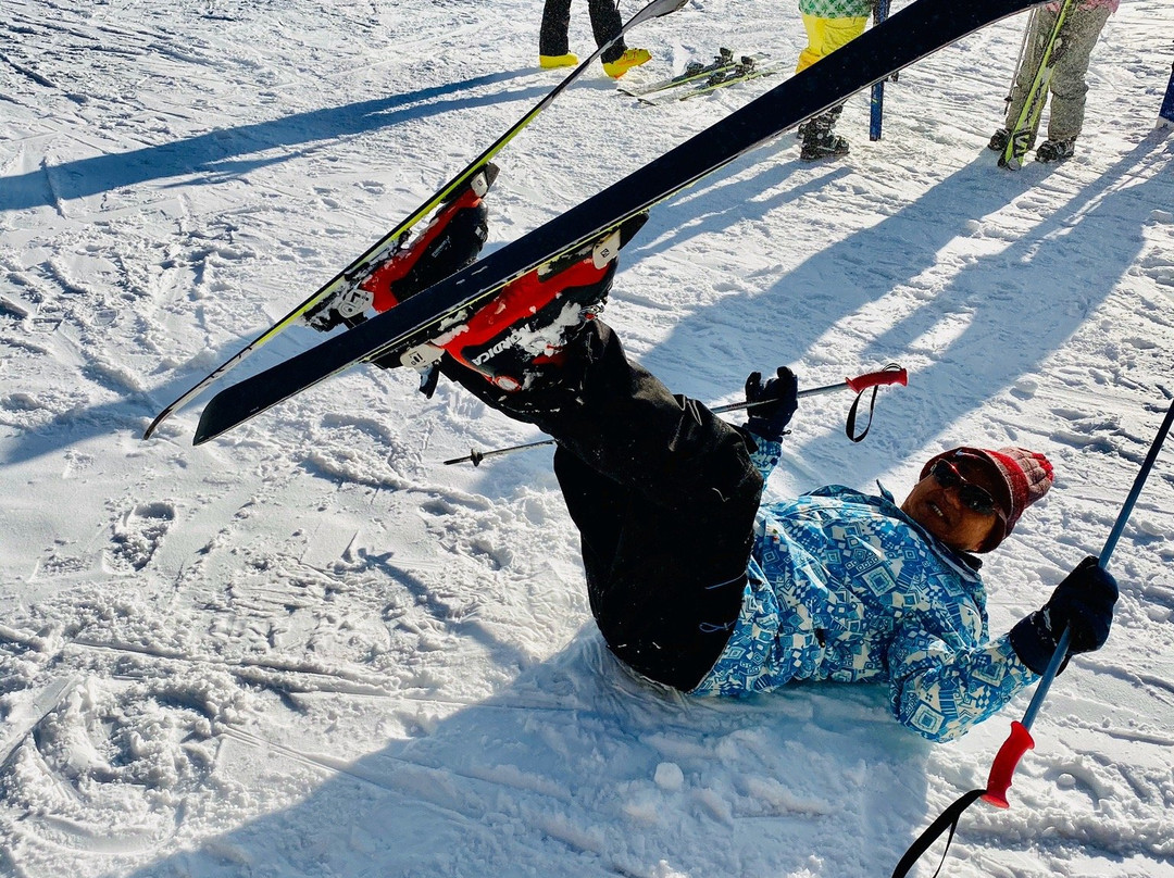 Vivaldi Park Ocean World-洪川郡必去景点