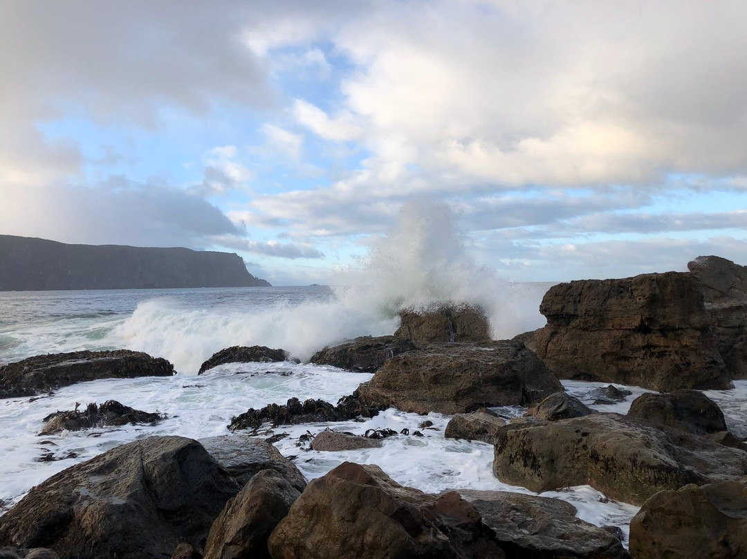 Shipstern Bluff-亚瑟港必去景点
