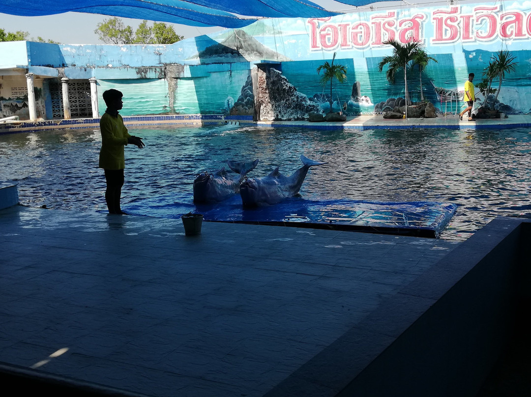 Oasis Sea World-廉信必去景点