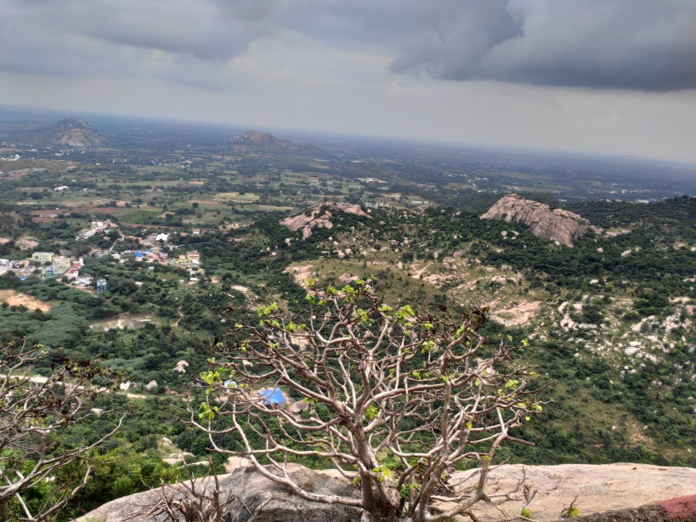 Sri Yoga Narasimhar Temple Sholingur-Sholinghur必去景点