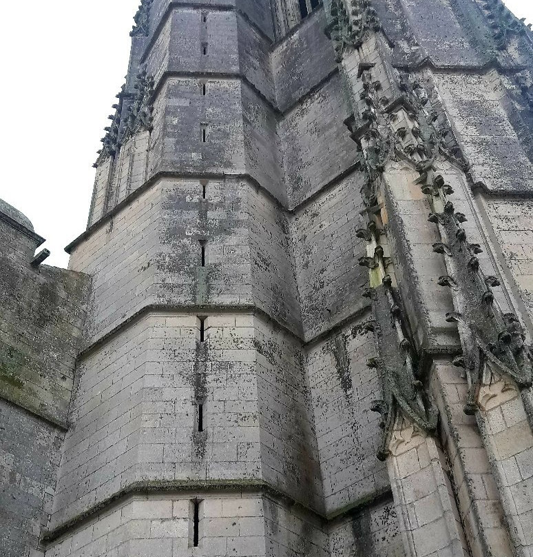 Eglise Saint Pierre de Sales景点图片