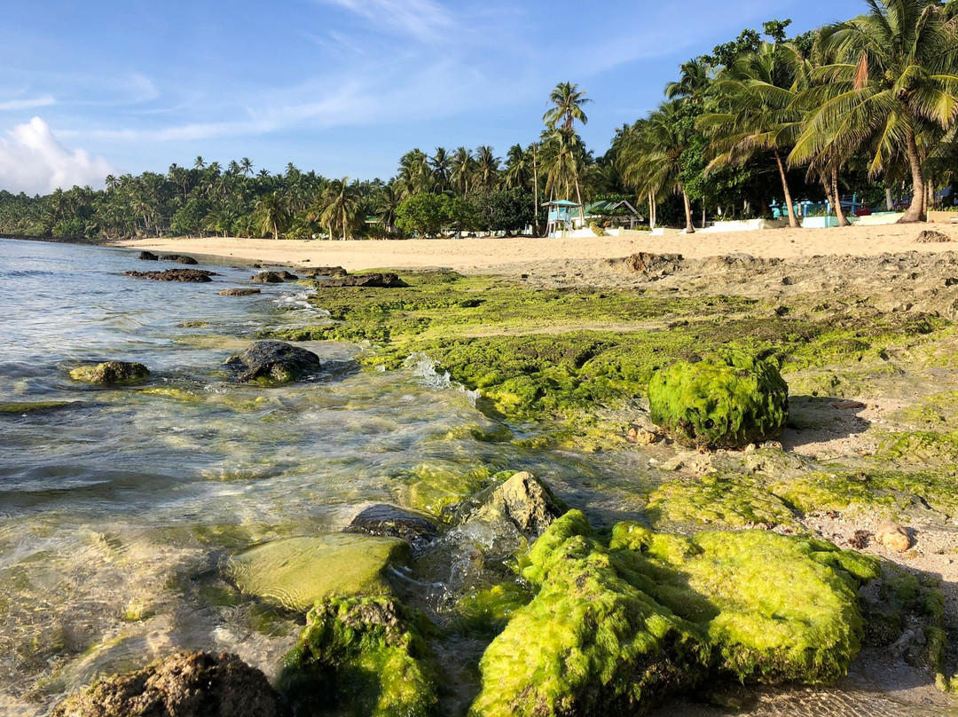 Magpaponko Swimming Hole-锡亚高岛必去景点