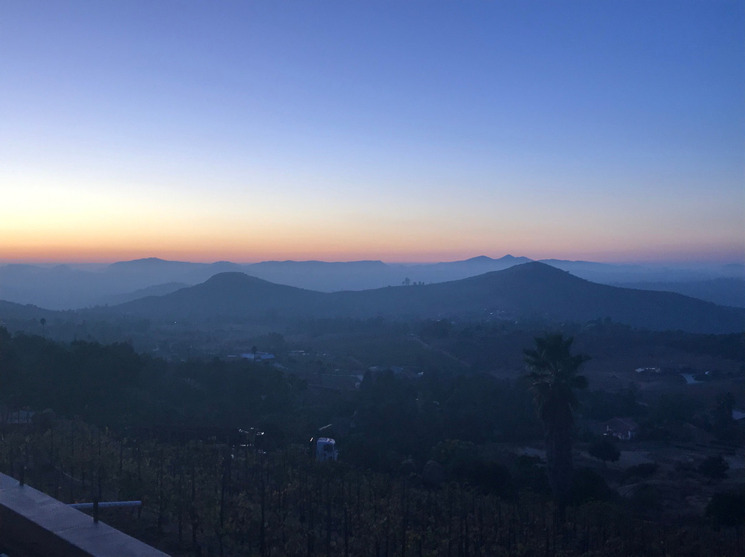 Cordiano Winery景点图片
