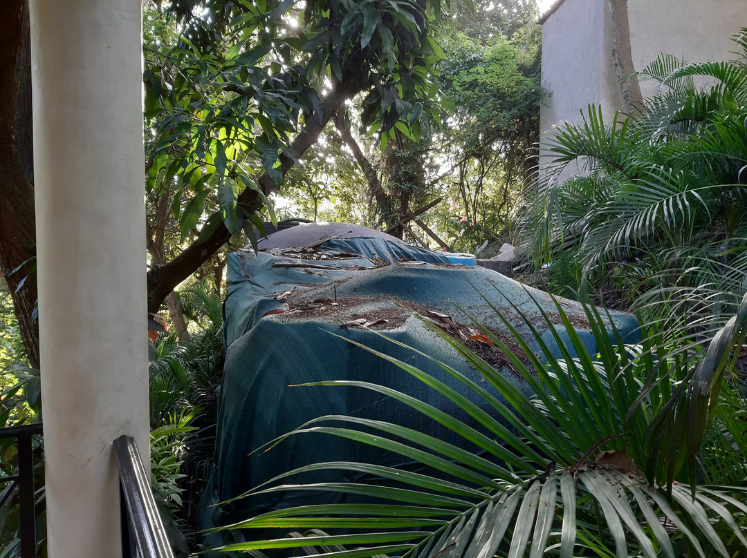 Amor Boutique Hotel主图